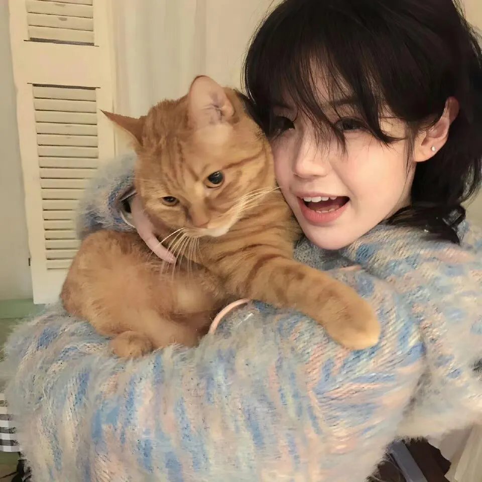 巴布与斯塔尔的维斯塔德尔玛之旅